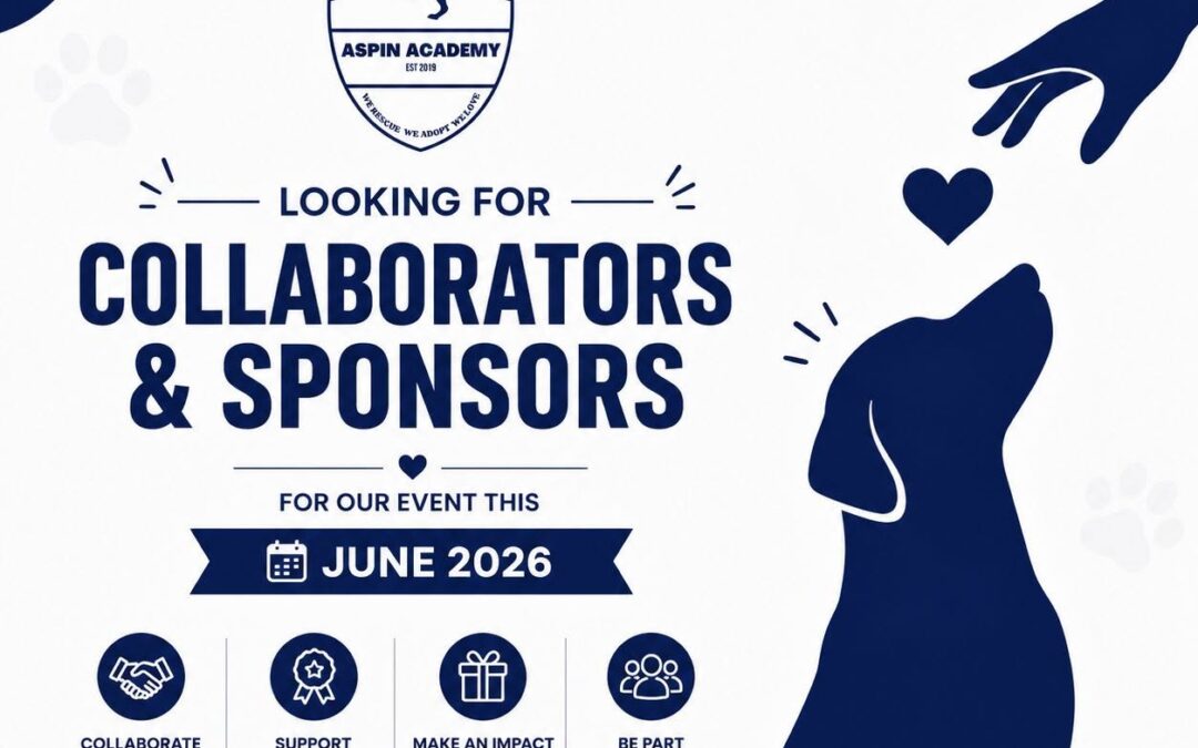Collaborators & Sponsors